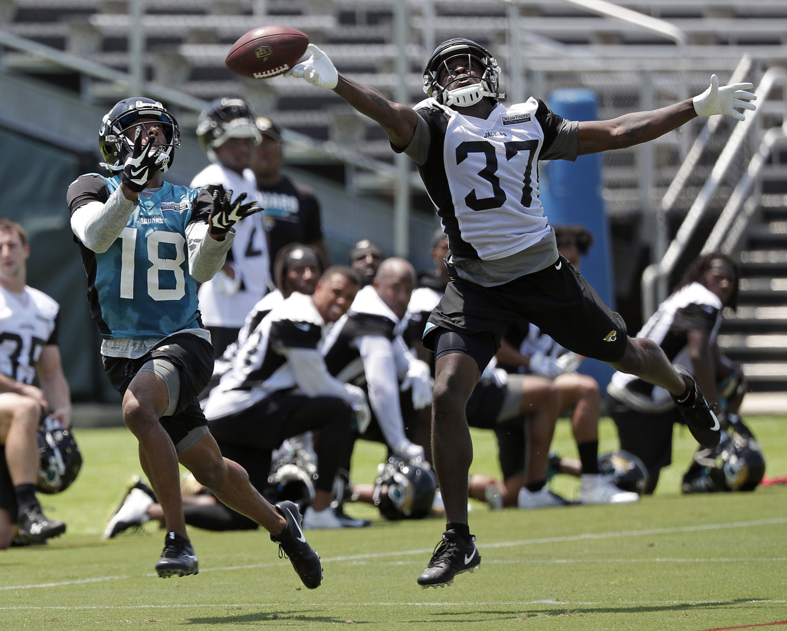 Jaguars Football